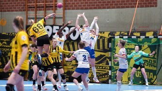 Borussia Dortmund HSG Blomberg-Lippe Handball Bundesliga Frauen