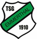 Logo TSG Emmerthal klein AWesA