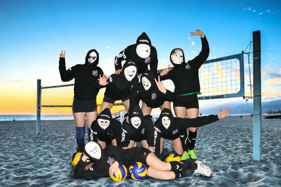 TSG Emmerthal Siegerfoto Volleyball