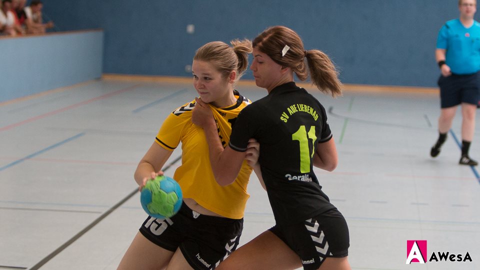 Aue Liebenau Handball