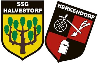 SSG Halvestorf Wappen Logo Verein Hameln Pyrmont AWesA