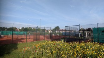 Tennis-Anlage TSG Emmerthal