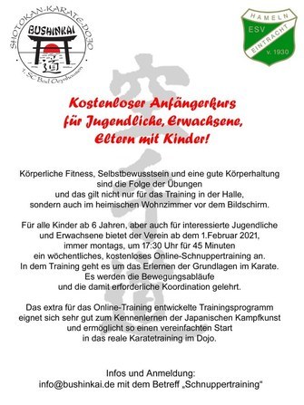 ESV Eintracht Hameln Karate Online-Kurs