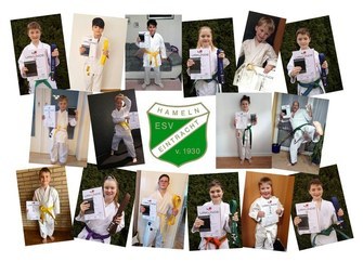 ESV Eintracht Hameln Gürtelprüfung Karate Collage