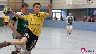 Lan Nguyen ho handball awesa
