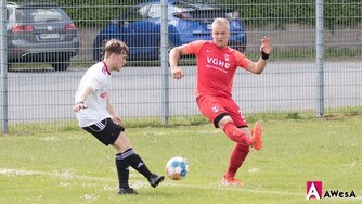 TSV Nettelrede Bezirksliga Abstiegsrunde Fussball
