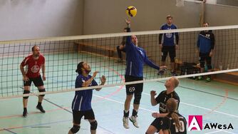Aleks Popovic VfBHW Hameln Volleyball Landesliga