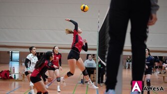 TC Hameln Volleyball Verbandsliga Schmetterball