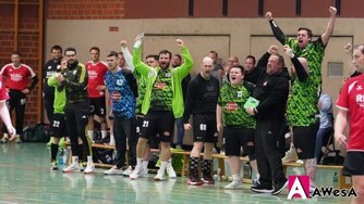 TSG Emmerthal III Handball Regionsklasse Aufstieg Jubel Bank