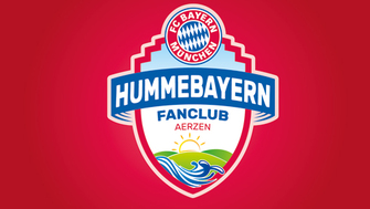 Hummebayern Aerzen 2015 Logo AWesA