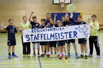 VfL Hameln D-Jugend Staffelmeister 2016