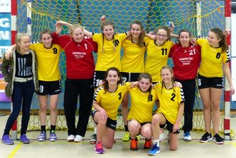 ho-handball wD Vizemeister 2015/16