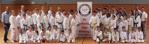 Teakwondo TC Hameln neue Guertel Juni 2013 AWesA