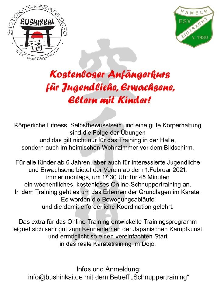 ESV Eintracht Hameln Karate Online-Kurs