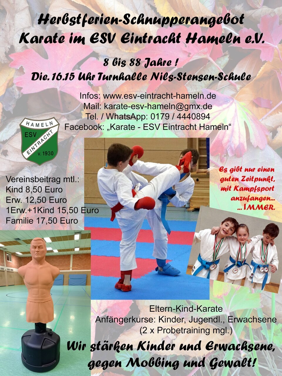 Karate Angebot Herbstferien Plakat