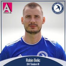 Robin Belic