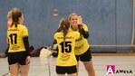 ho-handball Frauen Handball Regionsliga Abklatschen